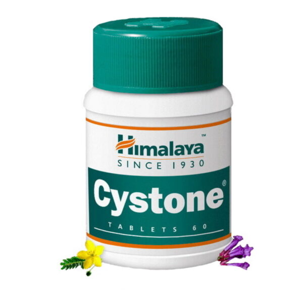 Cyston/Цистон в таблетках, для здоровья мочеполовой системы, 60 шт.