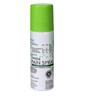 Pain Spray/Пэйн, спрей обезболивающий, для суставов и мышц, 60 мл